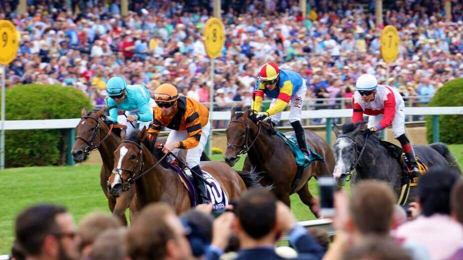 Preakness 2024 Betting Guide