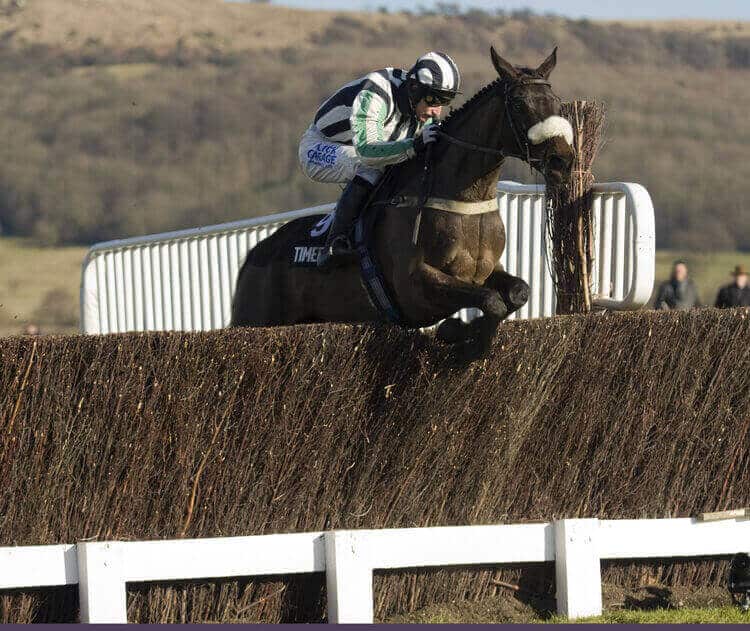 Horse Racing Over The Fence 